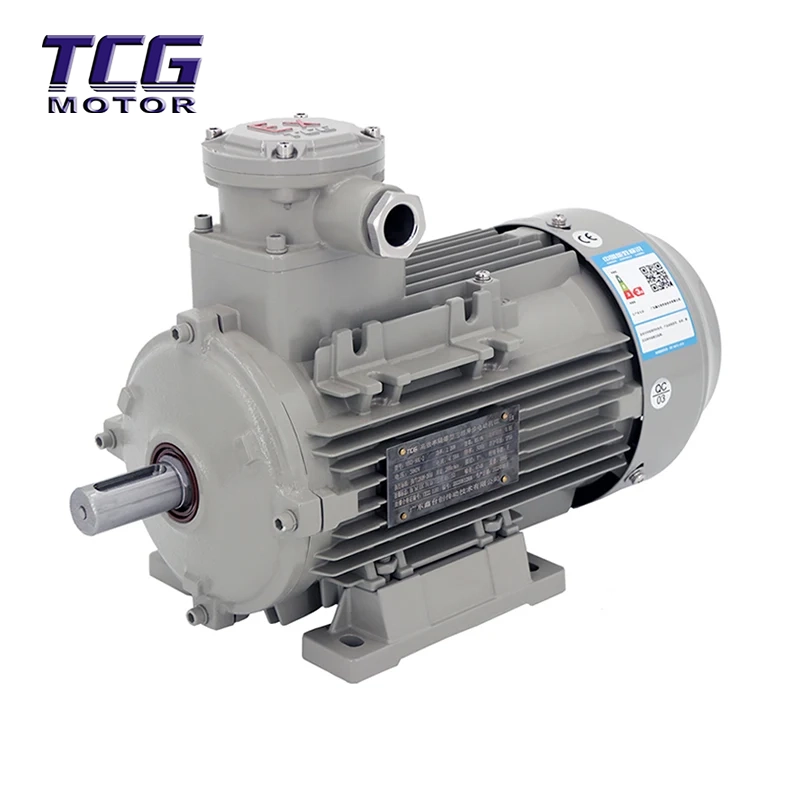 Montaje del motor B3 a prueba de explosiones Ex d IIC T4