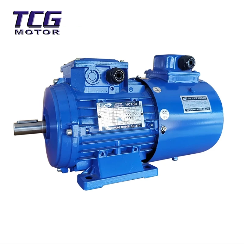 Motor de aluminio de servicio inversor
